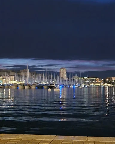 Marseille Vieux Port