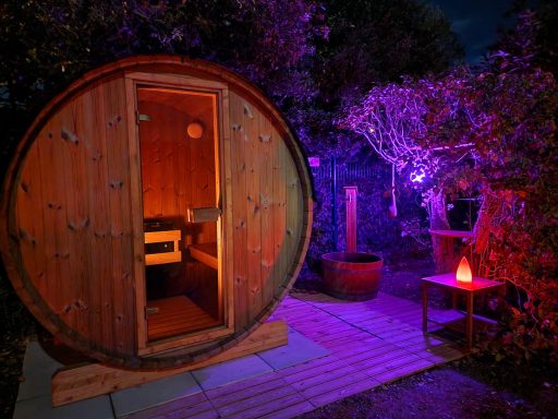 Sauna de jardin version luxe